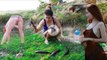 Beautiful Girl Cooking a Big Fish in My Village - Trying To cook Fish in Rice Field