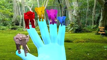 Colours Animals Finger Family Songs For Children | Elephant Dinosaurs Godzilla Finger Family Rhymes
