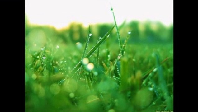 The most beautiful nature images in the world