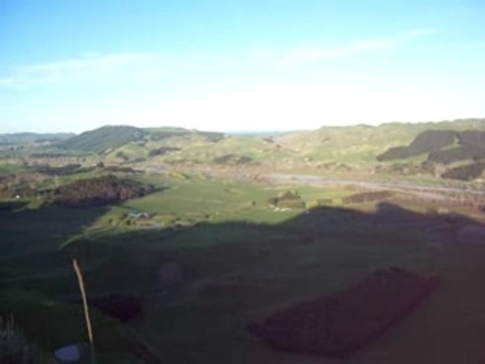 Ln, frog in NZ