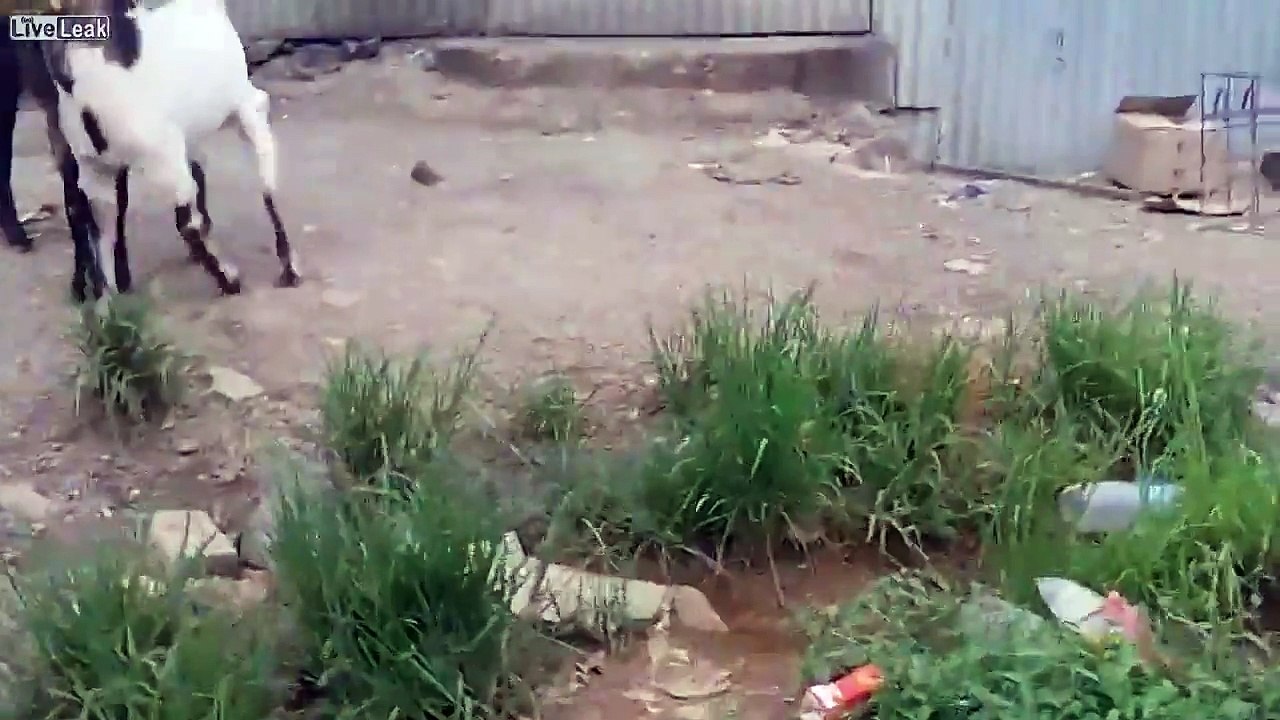 Stuck in a Barrel