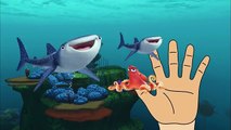 Finding Dory 2016 Finger Family Songs Nursery Rhymes