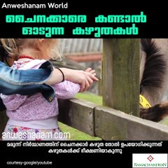 ചൈനക്കാരെ കണ്ടാല്‍ ഓടുന്ന കഴുതകള്‍