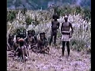 Look for Papua New Guinea Accommodation and Hotels
