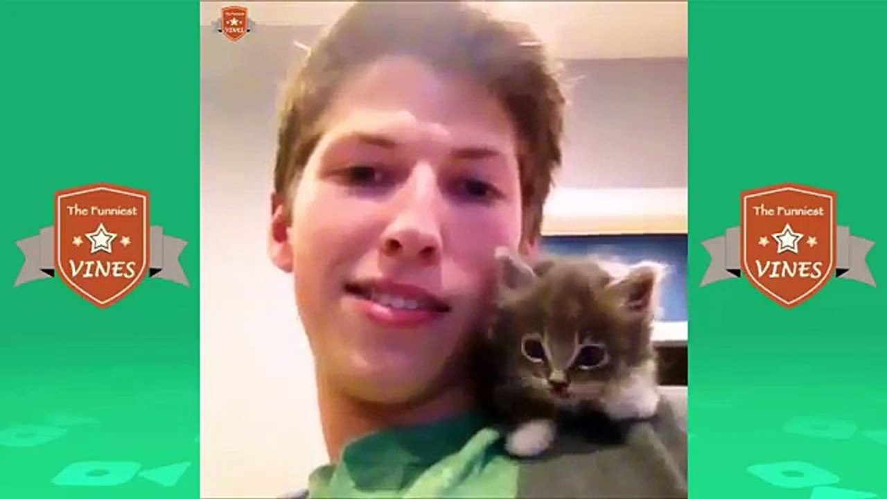 TRY NOT TO LAUGH- Funniest CAT & DOG Compilation December 201 (1)