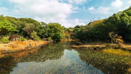 Jeju Island Timelapse