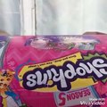 Dreamworks Trolls Blind Bag Boxes Series 1   2 Surprises - Poppy, Branch   More