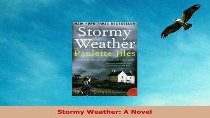 READ ONLINE  Stormy Weather A Novel
