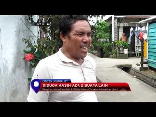 Anak Buaya Sempat Meresahkan Warga  - NET 10