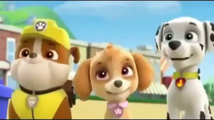 Paw Patrol Game Corn Roast Catastrophie - Nick JR English Cartoon - Paw Patrol Fu