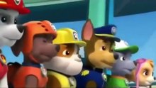 Paw Patrol Academy Game - Paw Patrol