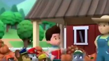 Paw Patrol Academy Game - Paw Patrol full Episodes  - Paw