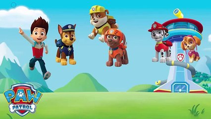 Paw Patrol marvel super heroes Hulk Iron man Captain America Thor Transforming Fun Superhero Videos