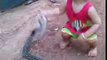 little boy playing with snake | playing with cobra like toy | OMG !!