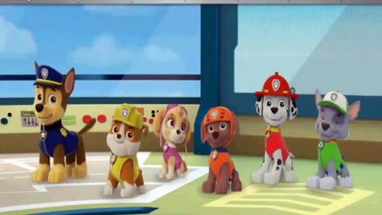Paw Patrol Hd Full Episodes - Paw Patrol Cartoon Episodes In English - Pa