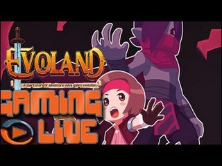 GAMING LIVE PC - Evoland - Jeuxvideo.com