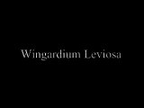 Hermione Granger : Wingardium Leviosa - Harry Potter