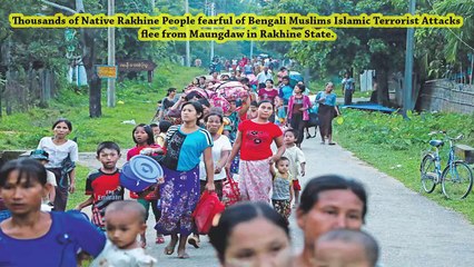 Bengali rohingya terrorists movement