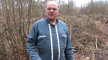 Sains-Morainvillers : le bois de la Borde, paradis d'Olivier de Baynast