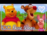 Kingdom Hearts 2 All Cutscenes | Game Movie | Winnie the Pooh ~ 100 Acre Wood