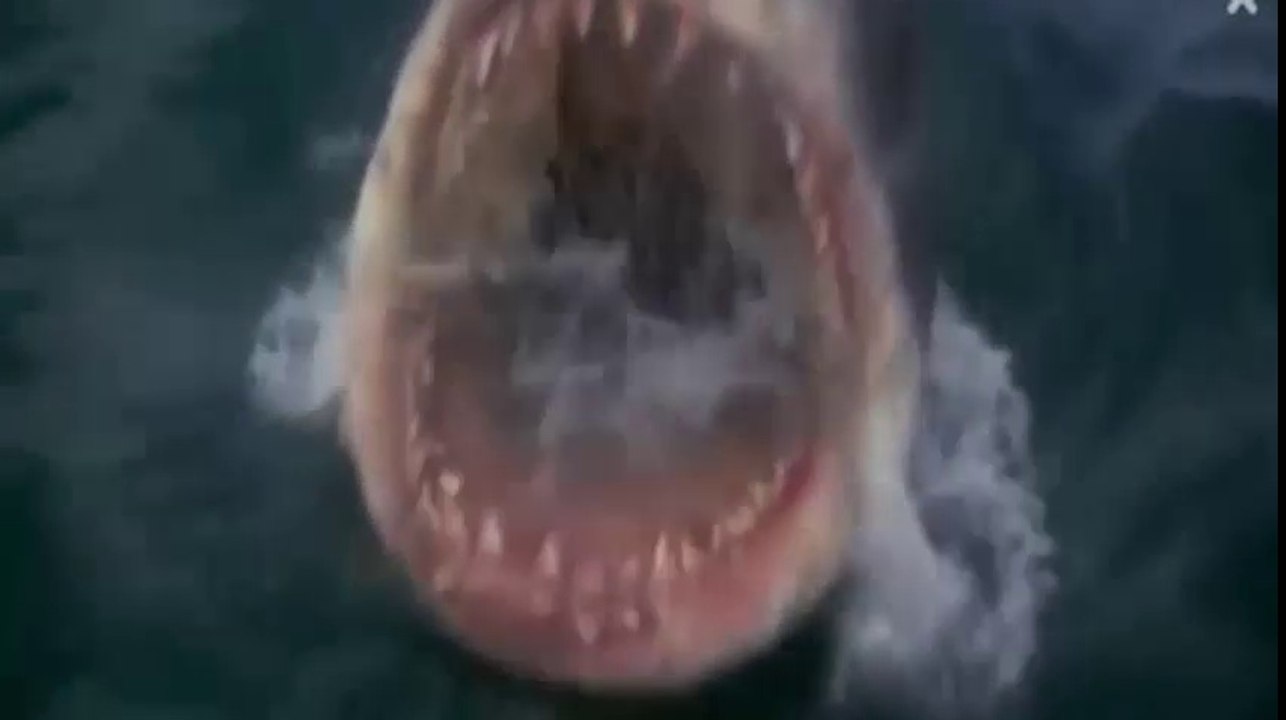 85.Bruce The Shark Top Horror Villains Antiheroes
