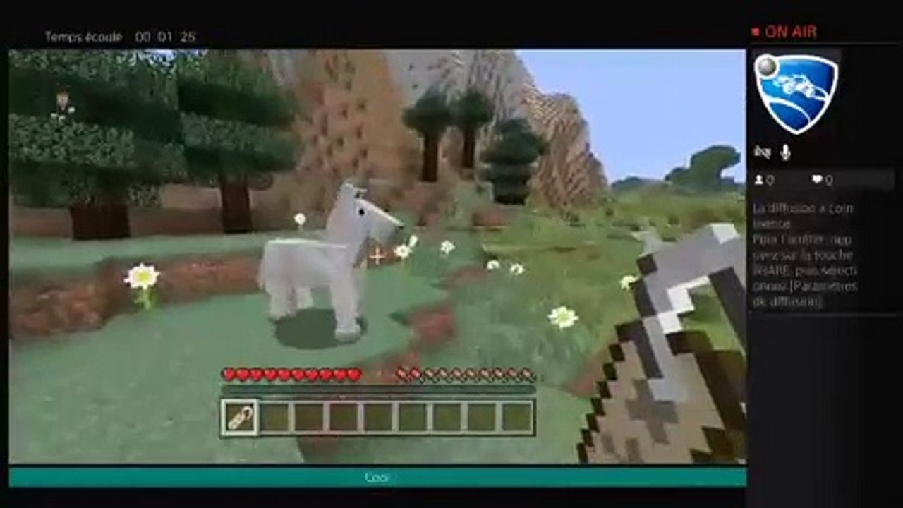 Minecraft (11)
