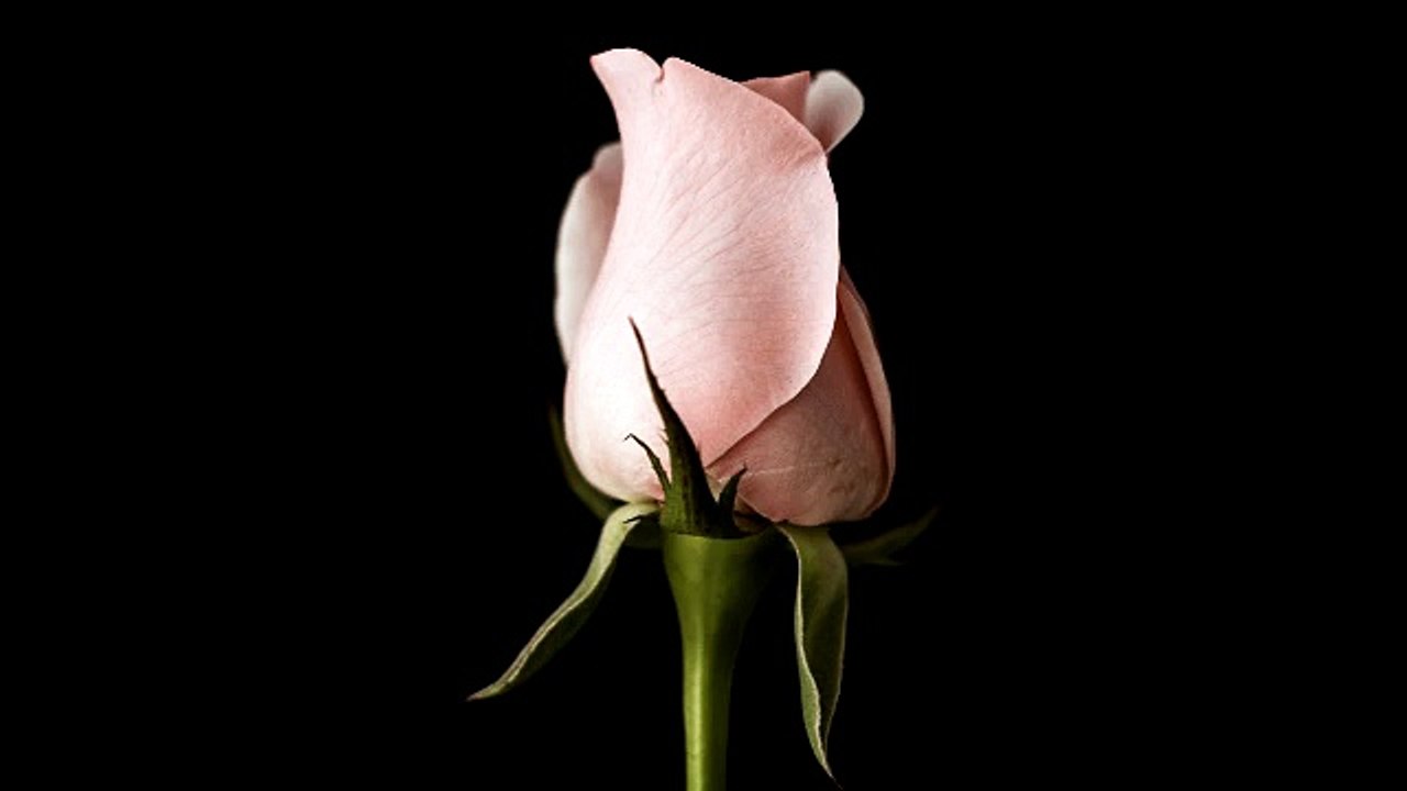 Abraham Hicks 2017 - A specific man for her