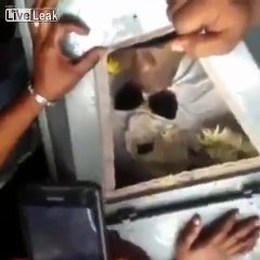 Un jeune décédé reçoit une dernière taf de marijuana lors de ses propres funérailles