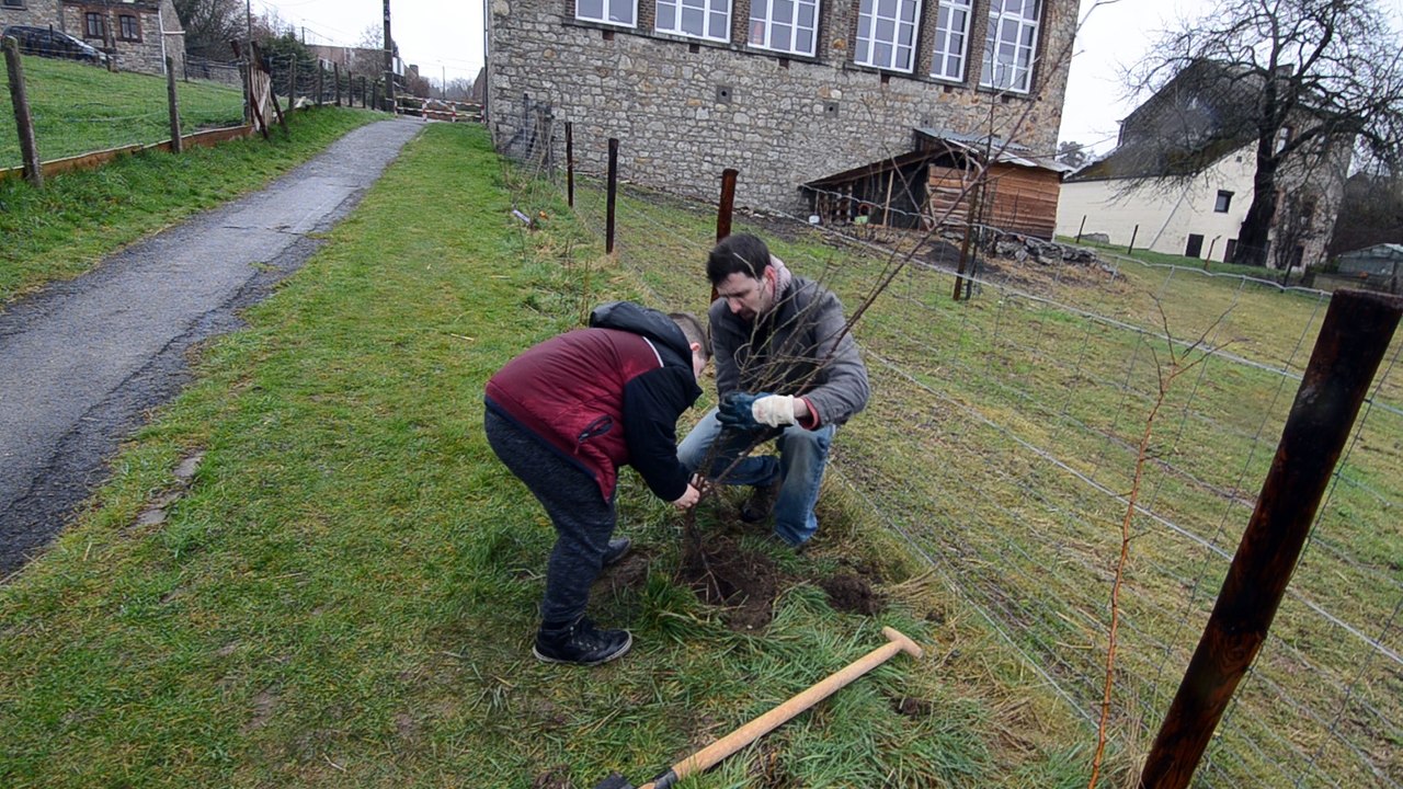 Les élèves de Marchin plantent des arbres