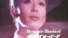 BLUEBIRD CM