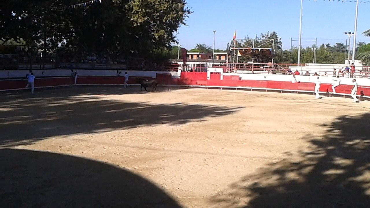 course taureaux