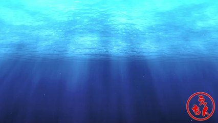 【伊豆の地磯】松崎町『黒崎』編　外道祭り開催で〜す