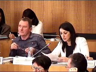Extrait 3 - Intervention de Cinderella Bernard au Conseil Départemental