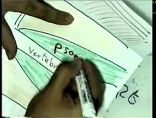 07 Nerve Supply & Vessel