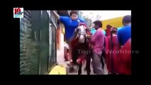 Most Indian Funny Whatsapp Videos | Try Not Laughing | Desi Pranks Version 2016