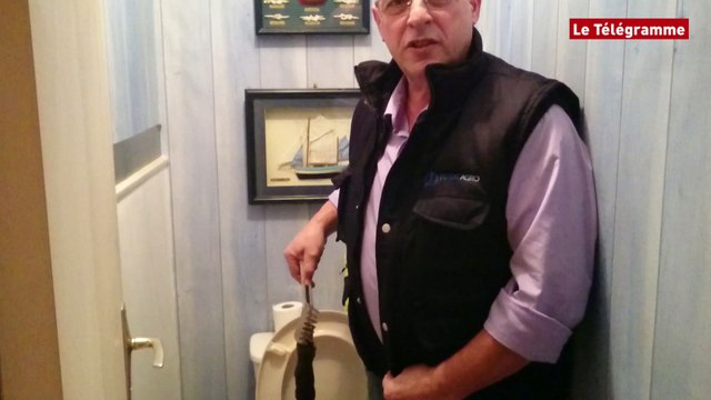 Loudéac. Un rat dans les toilettes !