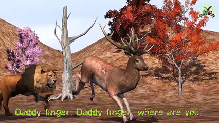 Kids Nursery Rhymes | Animals Finger Family Rhyme | Gorilla Finger Family | Daddy Finger F
