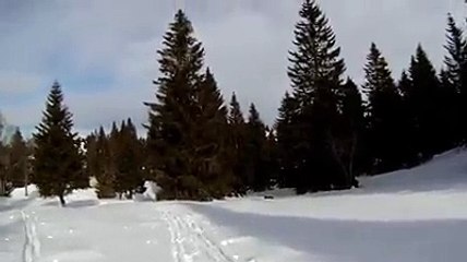Un skieur croise un lynx dans une station du Jura