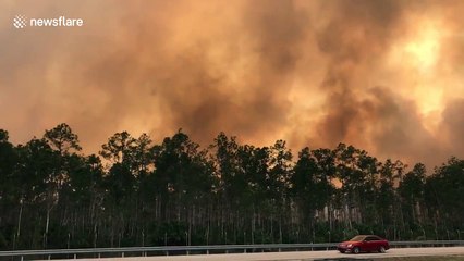 Massive wildfire in Florida creates ominous-looking sky