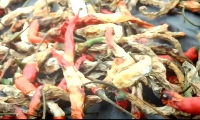 Harga Melejit, Omzet Pedagang Pasar Induk Tercekik