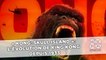 « Kong: Skull island »: L'évolution de King Kong depuis 1933