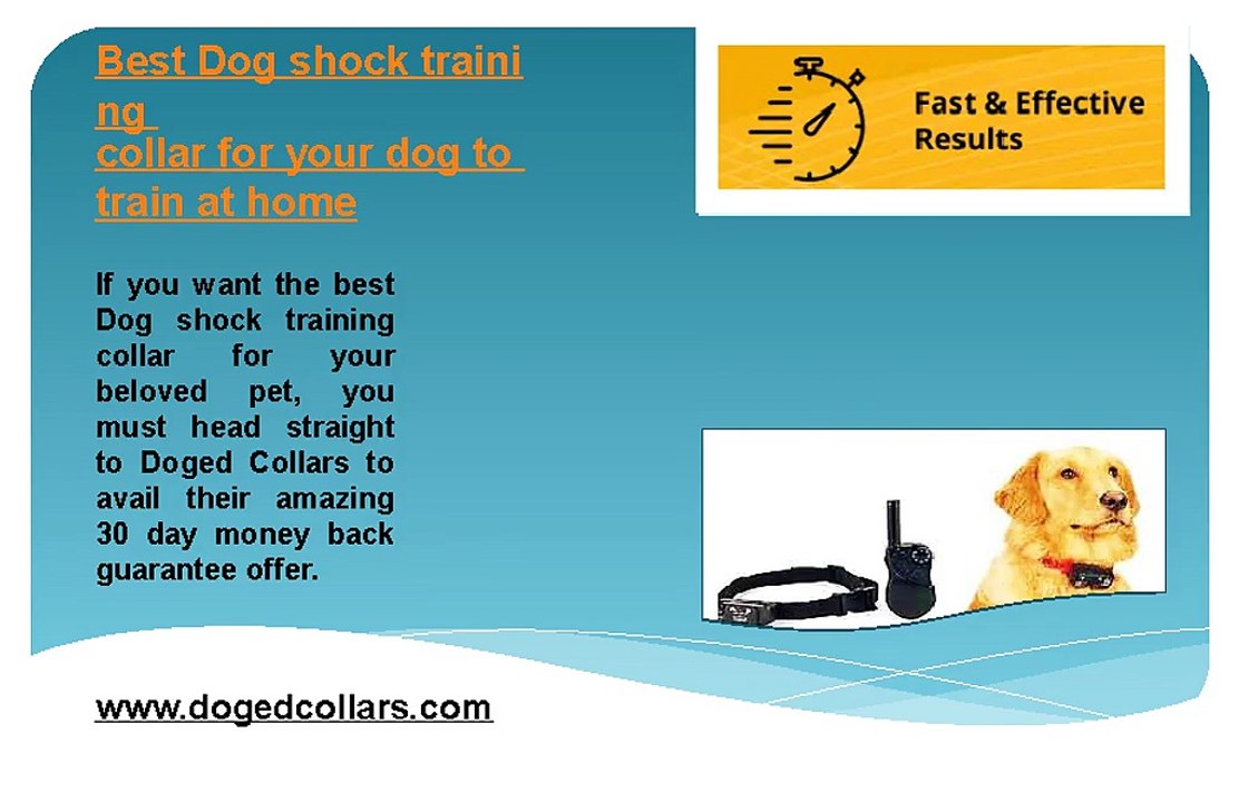 Best dog shock training collar for your dog