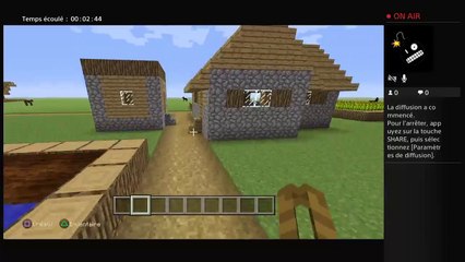 Court metrage minecraft (14)