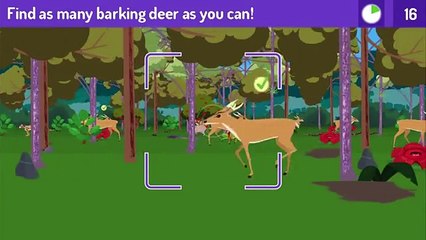 Pbs Kid Games - Jungle Rangers - Jungle Rangers Games