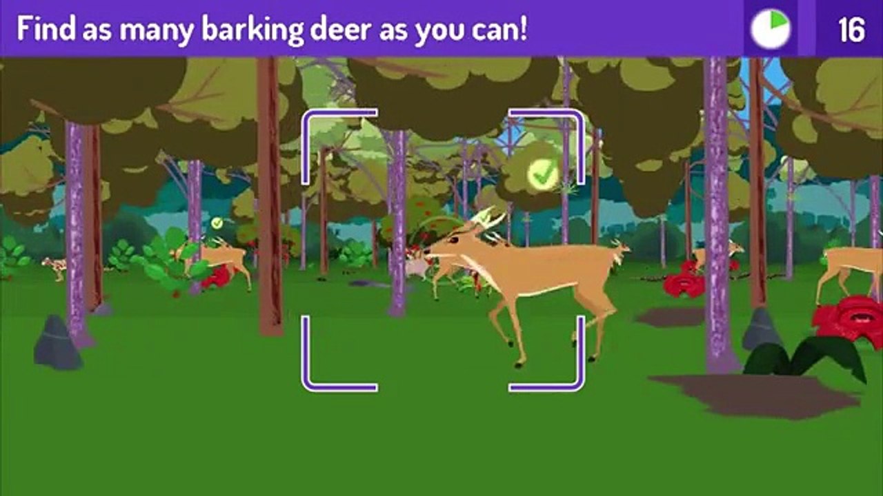 Pbs Kid Games - Jungle Rangers - Jungle Rangers Games