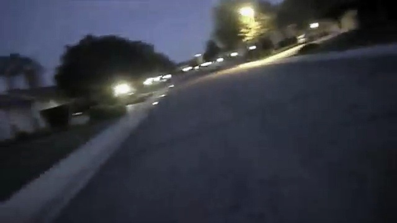 Un policier très patient avec deux chiens errants !