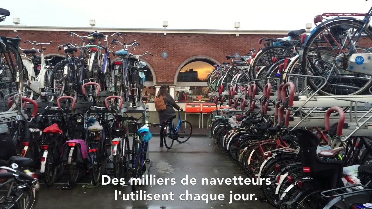 La RijnWaalpad, l'autoroute pour vélos trois étoiles