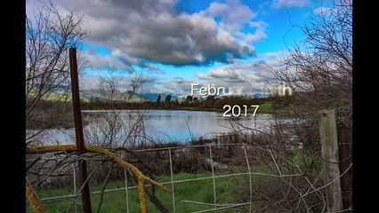 Une demande en mariage qui ne se passe pas comme prévu