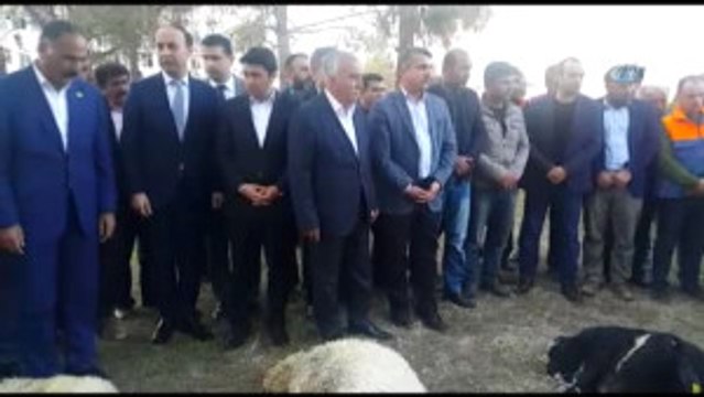 Deprem Bölgesinde Kurbanlar Kesildi