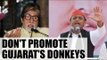 Akhliesh Yadav urges Amitabh Bachchan not to promote 'Donkeys of Gujarat' | Oneindia News